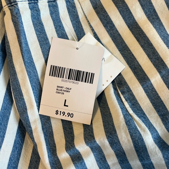 Blue and White Button-Down Midi Skirt - Picture 3 of 8